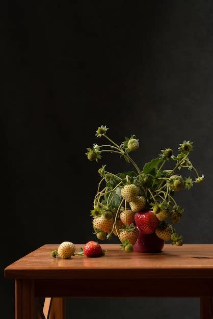 Bodegón un arbusto de fresas maduras y verdes la última cosecha de