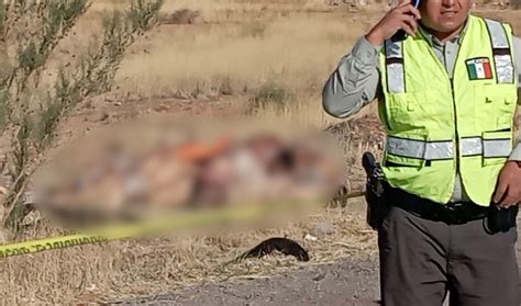 Son Nueve Los Cuerpos Encontrados Sin Vida Junto A La Carretera A