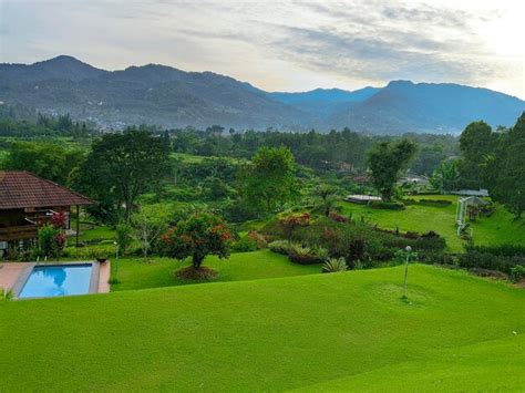 Premium Photo | Puncak bogor indonesia mountain view tree nature