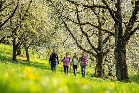 Oberkircher Brennersteig Deutschlands Schönste Wanderwege