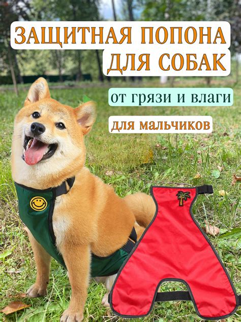 Дождевик для корги пемброк девочки — купить по низкой цене на Яндекс ...