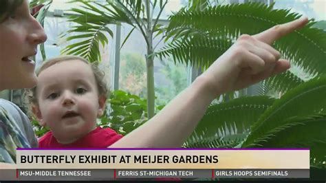 Weekend Adventure Butterflies In Bloom At The Frederik Meijer Gardens