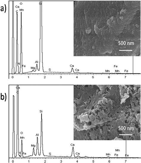 Eds Spectra And Sem Images Of A Original Coal Oc And B Mc