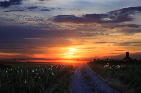 Sommer Sonnenuntergang Auf Dem Feld Sylvia Knittel Fotografie