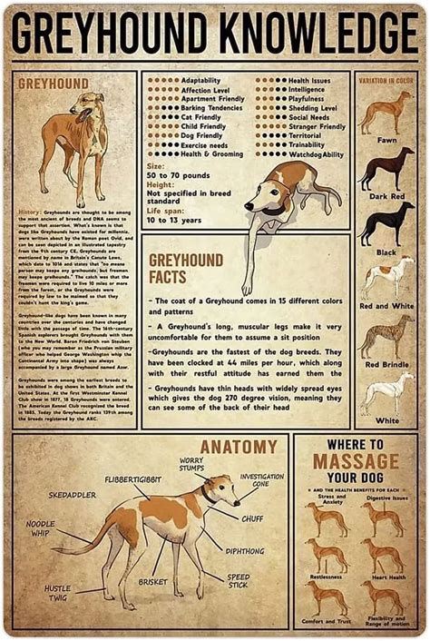 Amazon Starotore Greyhound Knowledge Metal Tin Signs Retro