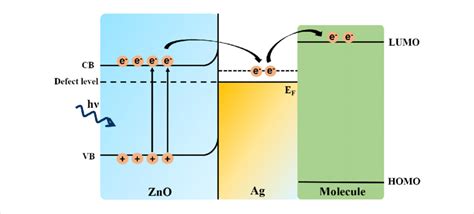 Schematic Illustration Of The Charge Transfer Mechanism Between Zno