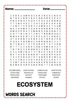 Ecosystems Activity Ecosystems Word Search By Fun With Puzzles