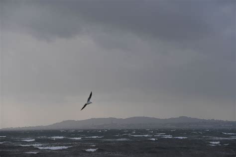 Storm Ophelia: Latest Path and Forecast as Ex-Hurricane Slams Into ...