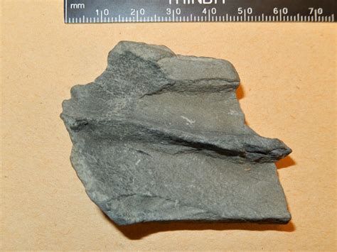 Ostracoderm Fragment? - Fossil ID - The Fossil Forum