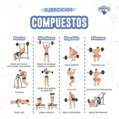 Ejercicios Multiarticulares O Compuestos VS Ejercicios De Aislamiento