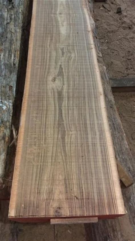 Indian Teak Wood At Best Price In India