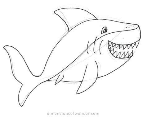 Shark Pencil Drawing Step-by-Step Tutorials [Cute & Realistic]