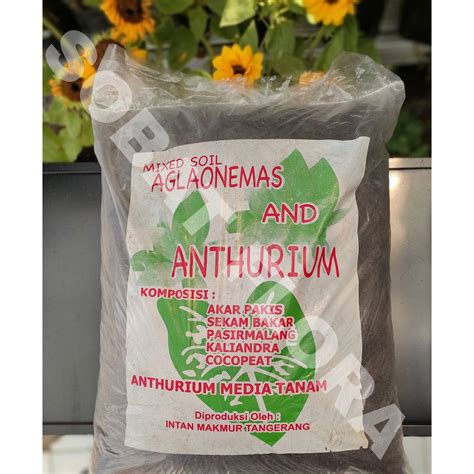 Jual MEDIA TANAM KHUSUS AGLONEMA DAN ANTHURIUM Shopee Indonesia