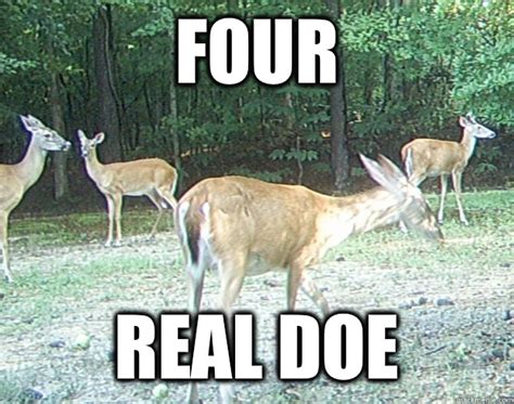 4 Real Doe Memes Quickmeme