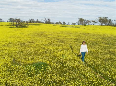 Coalseam Conservation Park Mingenew Tourist Attractions Localista