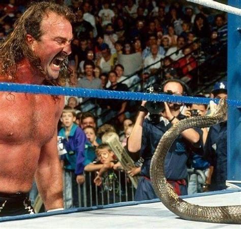 Pin By Stephen Ryan On Wrestling Jake The Snake Roberts Pro