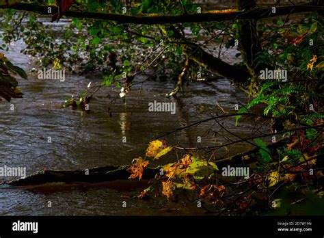 Flood Hazard Hi Res Stock Photography And Images Alamy