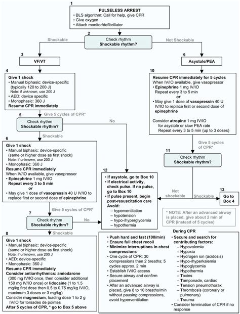 Acls Cardiac Arrest Algorithm