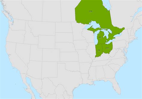 EAB Network - Timeline