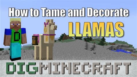 How To Tame And Decorate A Llama In Minecraft Youtube