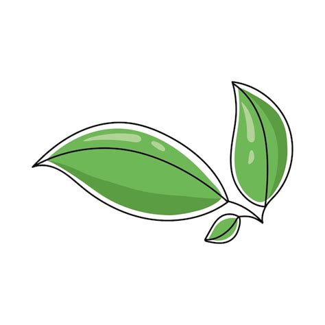 Premium Vector Vector Illustration Of A Tea Leaf