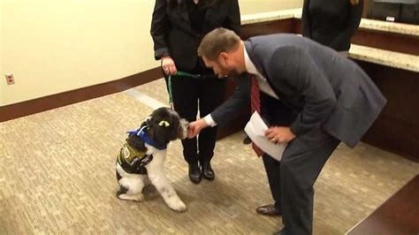 Therapy Dogs Sworn In For Duty At Rogers County Courthouse