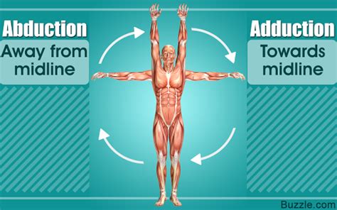 Anatomical Terminology Medical Scribe Training