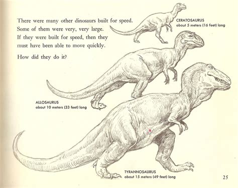 how to draw t rex 5