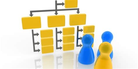 Choosing A Business Structure Douglas Lawyers