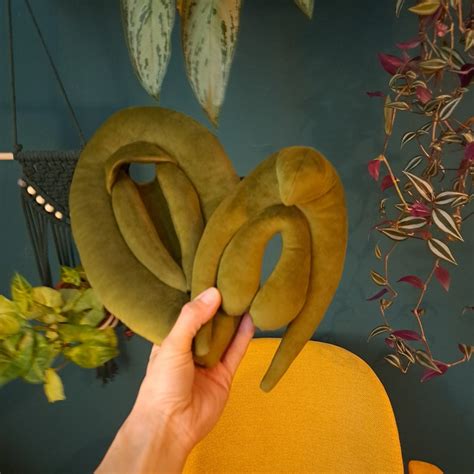 Vulva Pillow Anatomy Set Plushy Puppets For Sex Education Etsy