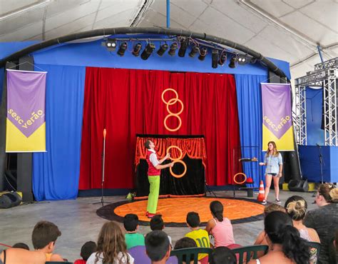 Entenda Se Permitido O Uso De Animais Nos Circos Super Circo