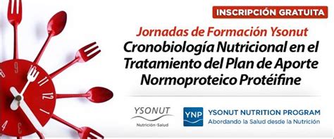 Jornadas De Formaci N Ysonut Y De Septiembre De Hotel