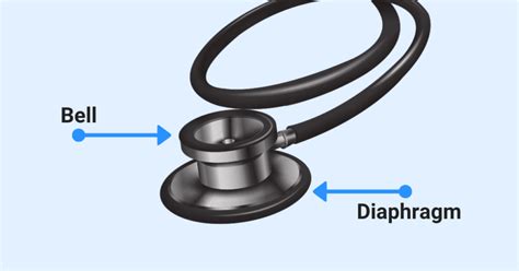 Stethoscope Bell vs. Diaphragm: What's the Difference? (2023)