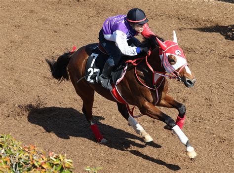 土曜中京競馬場の注目激走馬中京11RファルコンステークスG3 UMATOKU 馬トク