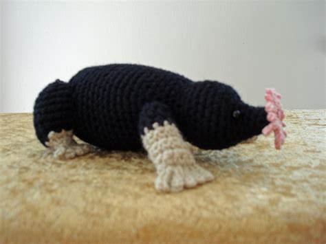 Star-Nosed Mole - Instructables