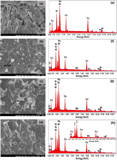 Typical Sem Images Left And Edx Spectra Right For X Wt A