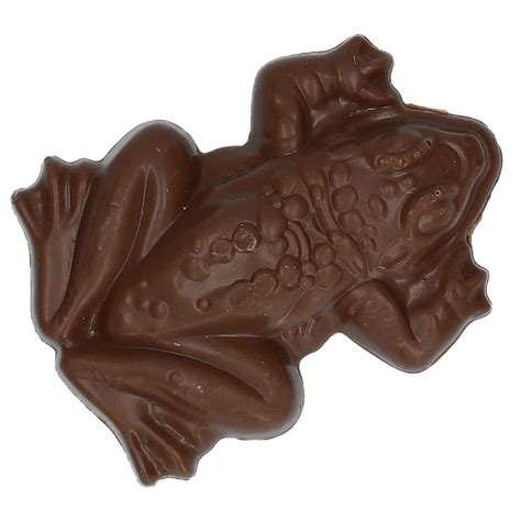 Harry Potter Chocolate Frog 15g Online Kaufen Im World Of Sweets Shop