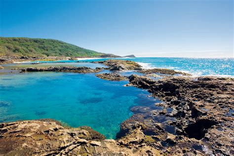 K'gari - A world heritage listed wonder. | Visit Fraser Coast