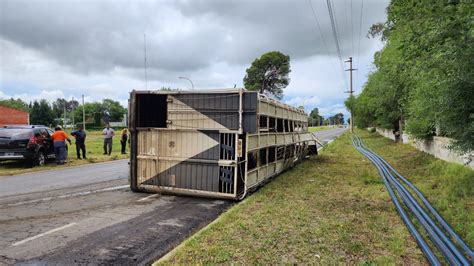 Volcó otro camión con ganado Plan B Noticias