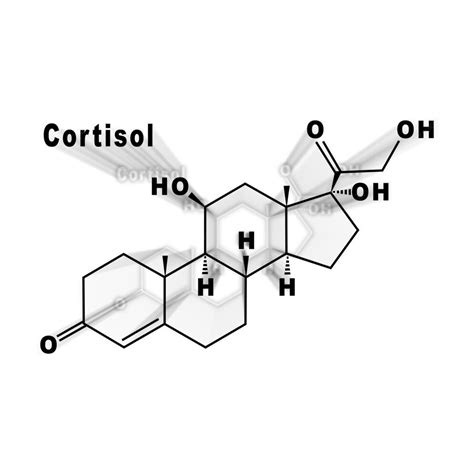 Fórmula Química Estrutural Do Hormônio Cortisol Em Um Fundo Branco