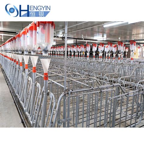 Pregnant Pig Cage Gestation Crate Sow Housing For Pig Farm China Pig