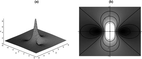 Spatial Structures Of The Symmetrical Lump Type Wave Solution A