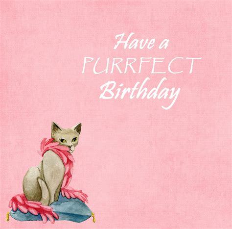 cat watercolor birthday card  stock photo public domain pictures