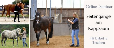 Online Seminar Seiteng Nge Am Kappzaum Mit Babette Teschen