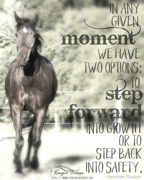 Horse Love Quotes And Sayings