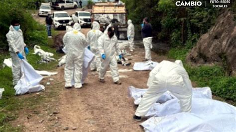 Video De Terror Abandonan Cami N Repleto De Cad Veres Putrefactos En