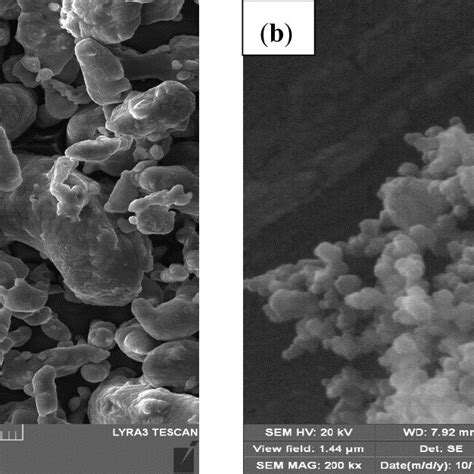 FE SEM Micrographs Of As Received Powders A Al And B SiC