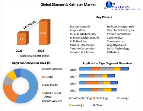 Diagnostic Catheter Market Industry Analysis And Forecast 2022 2029