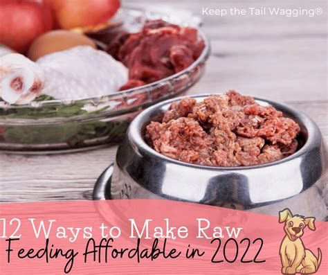 How Do You Prepare Raw Dog Food