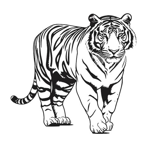 Illustration Vectorielle De La Silhouette Du Logo Du Tigre Isol E Sur